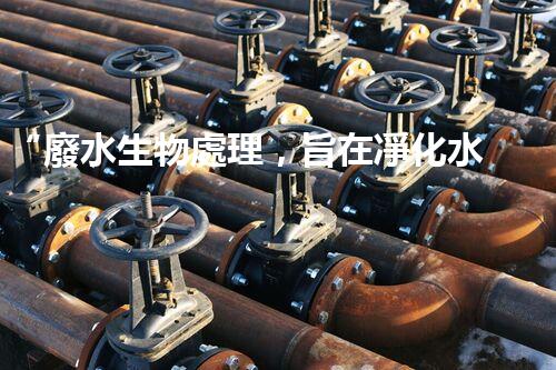 “廢水生物處理，旨在凈化水源，守護(hù)碧水藍(lán)天”